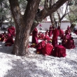 Tibetian monks learn how to put and answer philosophical questions