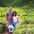 Tea plantation, Malaysia